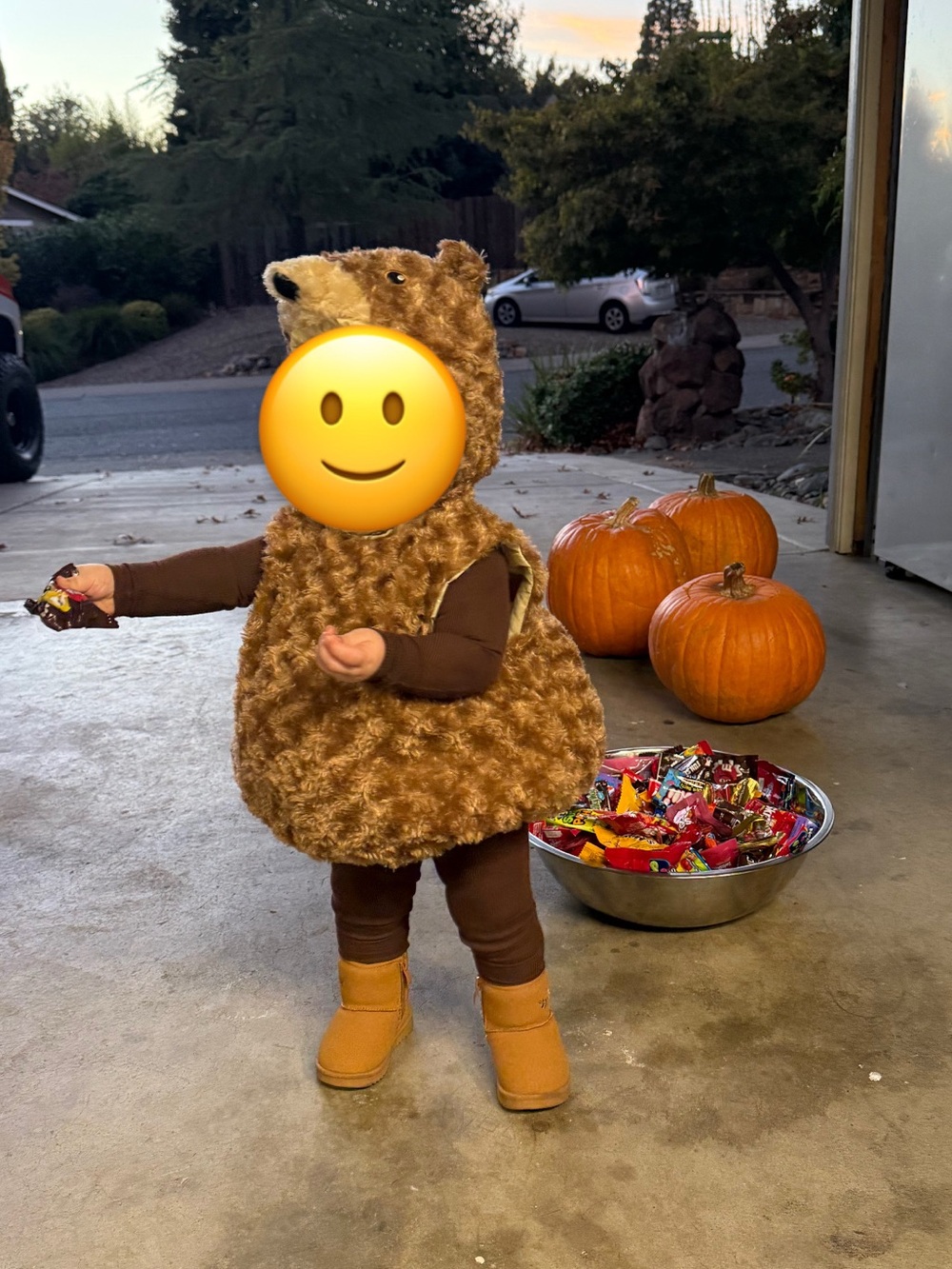 Kids Brown Bear Plush Halloween Costume - Soft Fuzzy Hooded Outfit - Picture 4 of 5